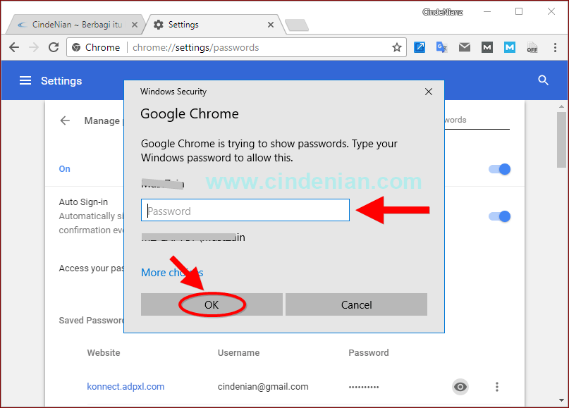 Cara Melihat Password Yang Tersimpan di Chrome