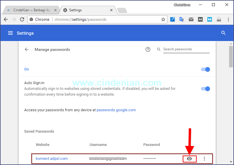 Cara Melihat Password Yang Tersimpan di Chrome